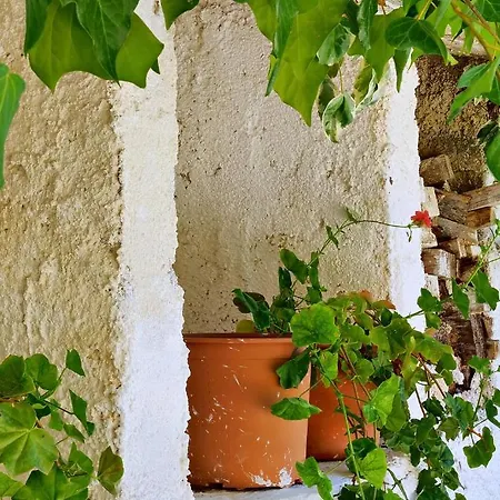 Markella 3* זקינטוס טאון